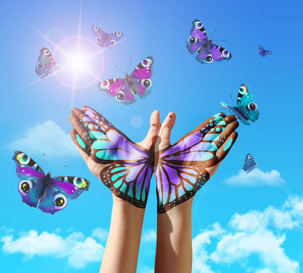 Assessment in Home Education