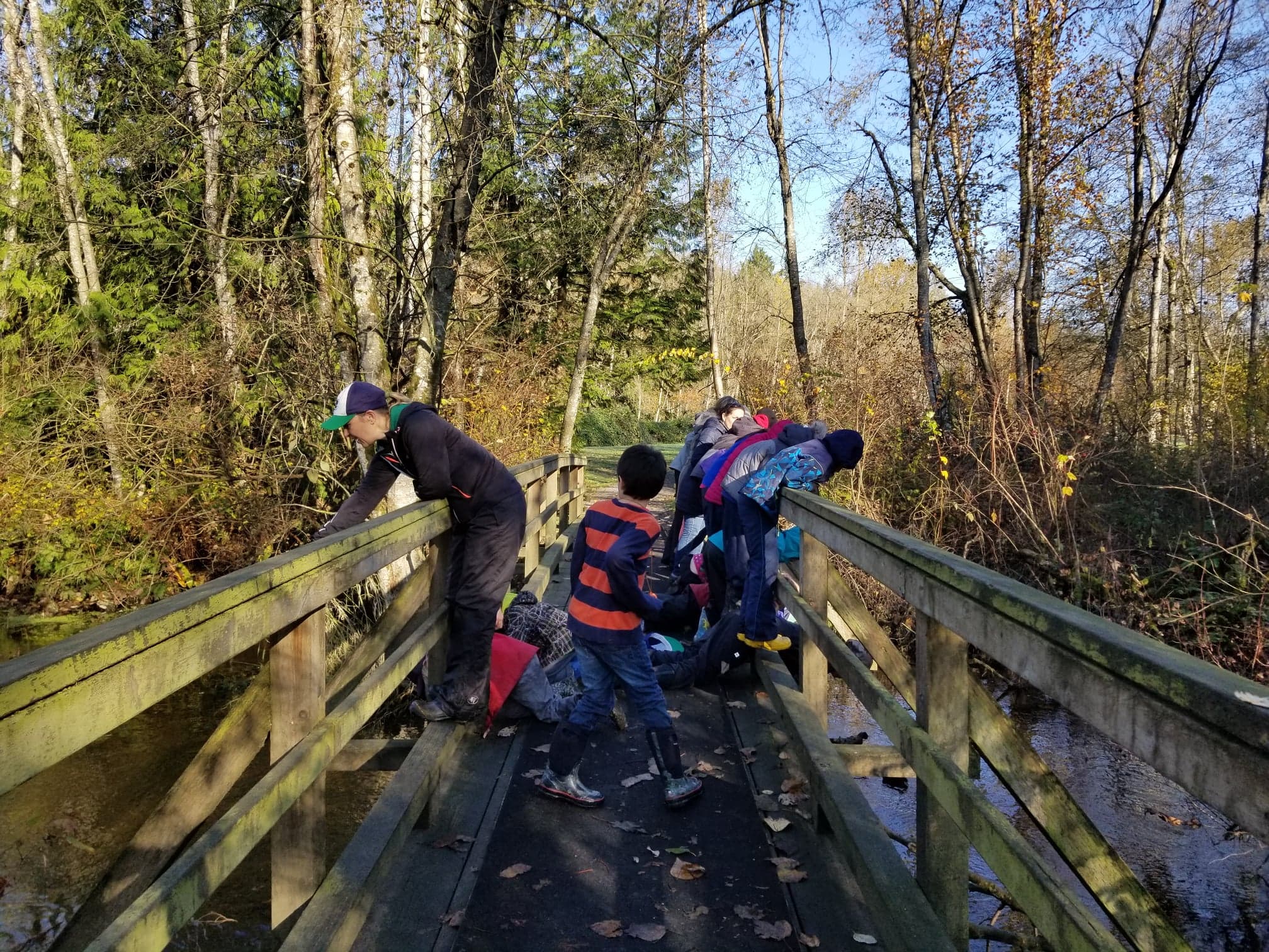Outdoor Explorations: Our Outdoor Classroom Opportunity