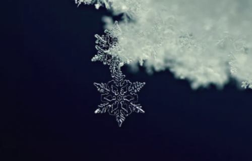 Let It Snow